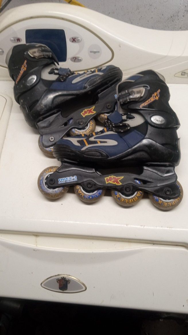 Roller Blades 