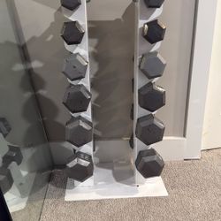 Dumb bells With Stand