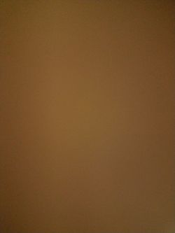 FREE queen size mattress