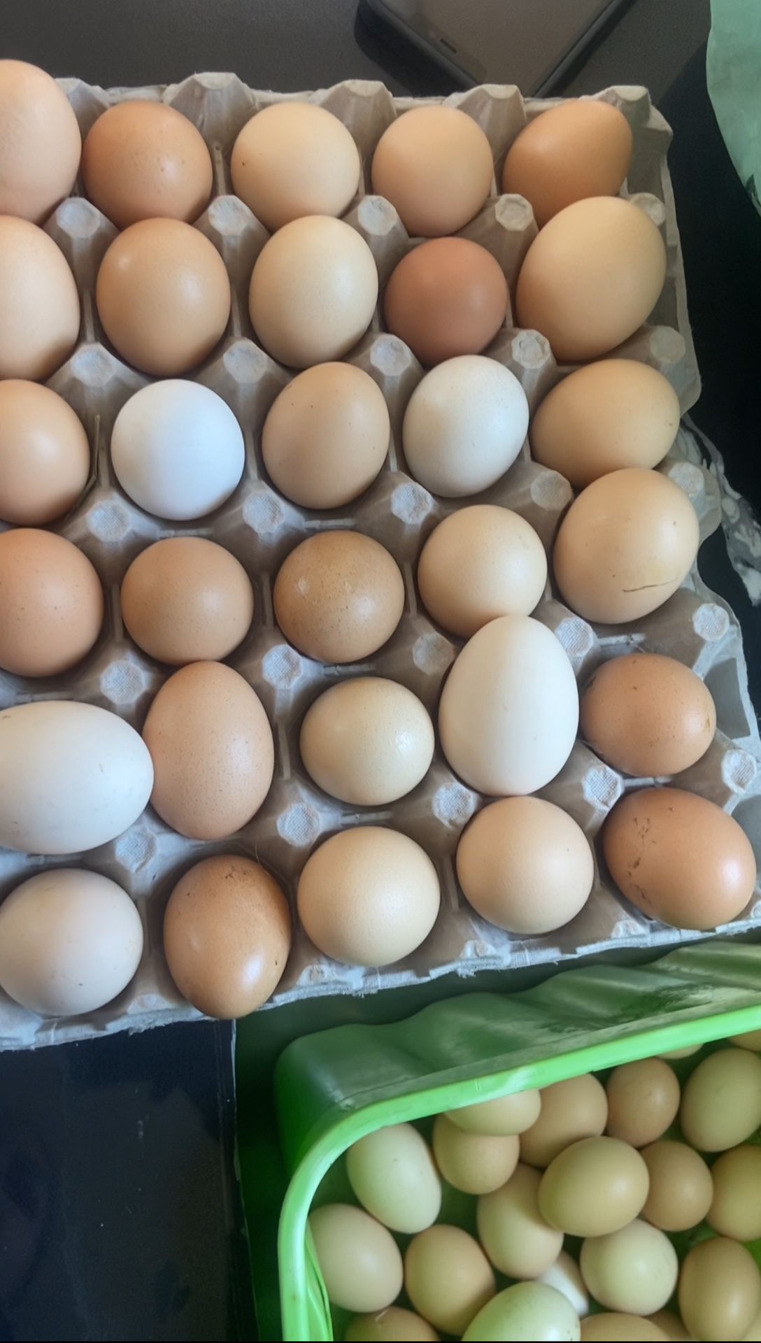 Huevos Orgánicos