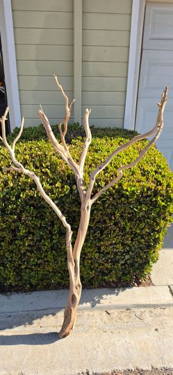 Large Natural Driftwood Branch Decor