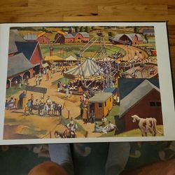 Frame Quality Art Prints Audubon & Others