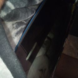 Audi A5 2009 Front Windshield Authentic With Sensors 