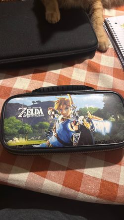 Nintendo Switch case