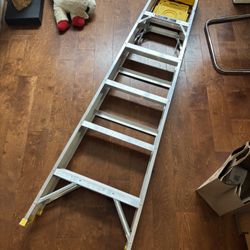Warner A-Frame Ladder