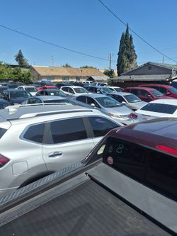 Public auctions