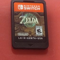 NINTENDO SWITCH ZELDA TEARS OF THE KINGDOM 