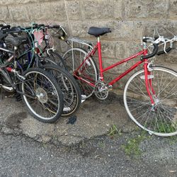 Pedal bikes from steve moped and bicycle world 