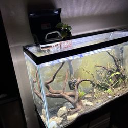 29 Gallon Fish Tank 