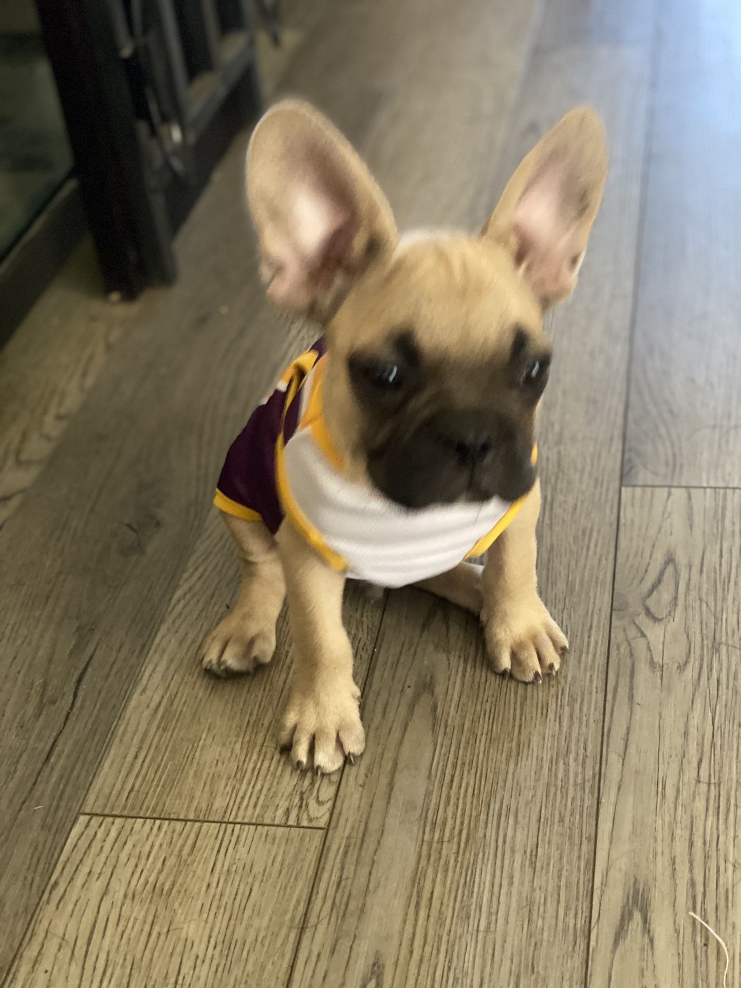 Laker Jersey