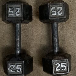 25lb pound dumbbells Tempe by asu cheap