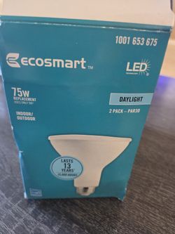 Ecosmart 75W 2-pack LED  Bulbs 