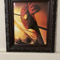 Spiderman visor -  France