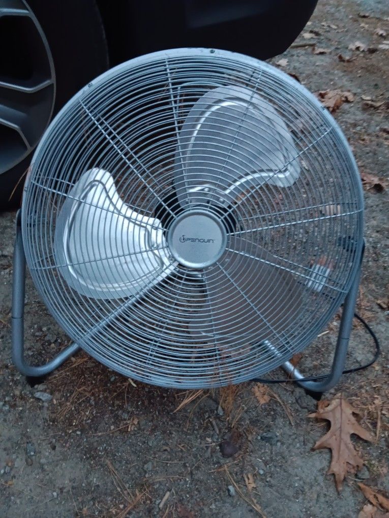 Fan