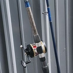 11ft Fishing Pole With Reel Setup Combo
