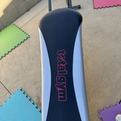 🏷️ Total Gym 1400 – Full Home Gym – $160