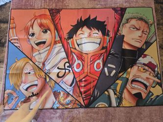 2 One Piece area rugs
