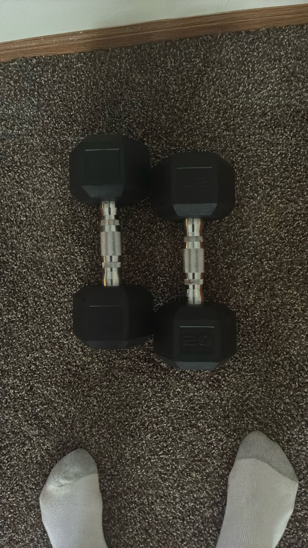2 20 Pound Dumbbell Set