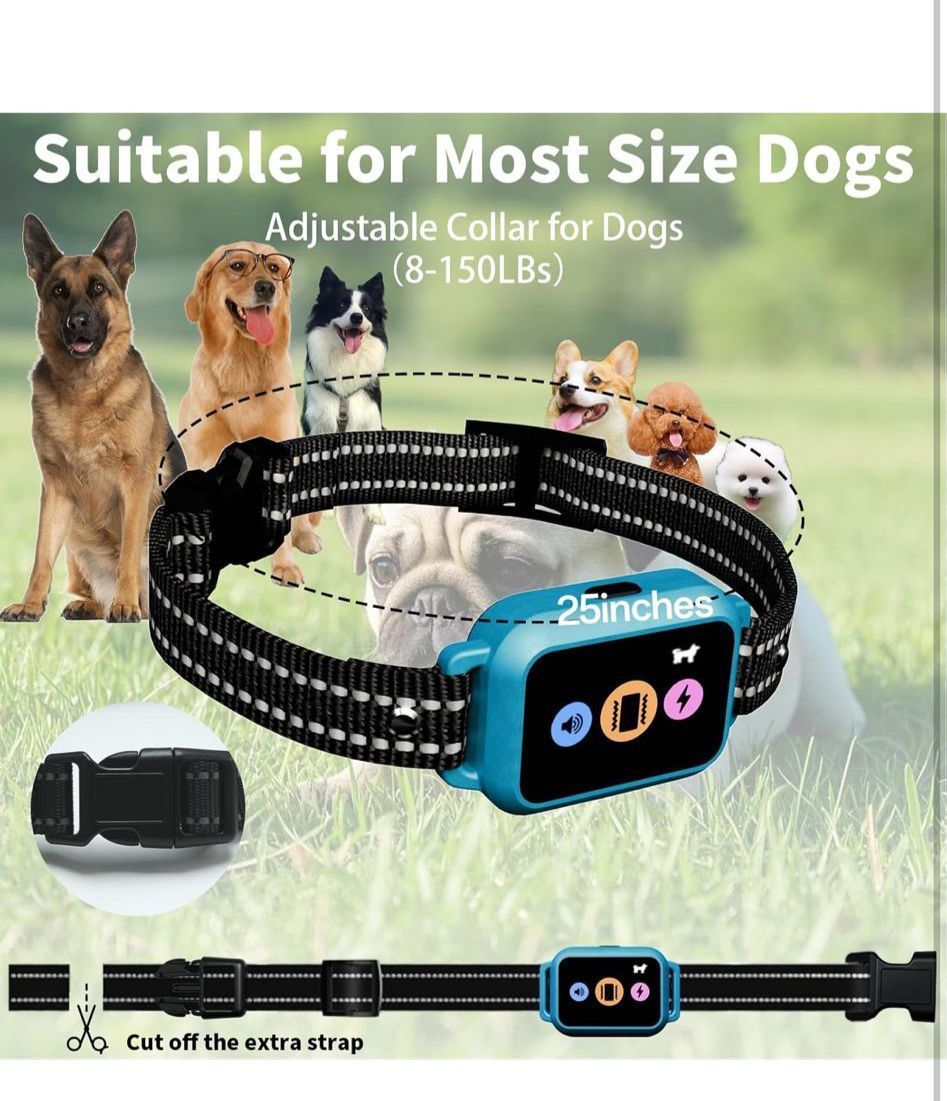 Dog Training Collar