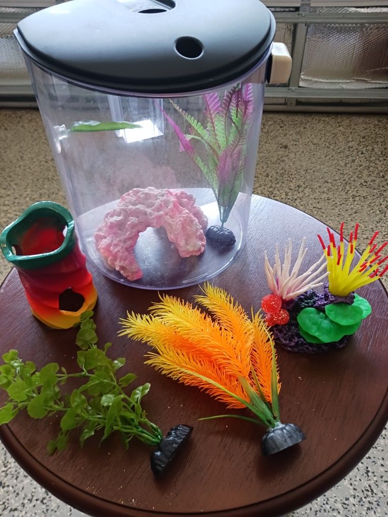 Fish Tank And Supplies