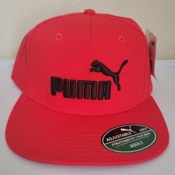 Puma Hat