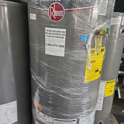 Water Heater Rheem Performance Platinum 
