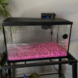 Fish tank for sale