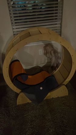Cat treadmill