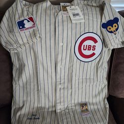 Authentic cubs Ernie banks Throwback Jersey