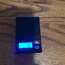 Scale