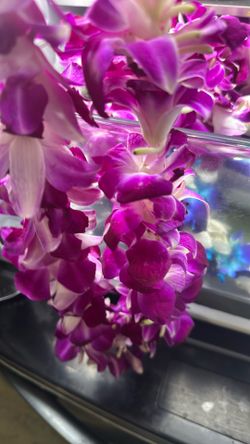 Flower Lei