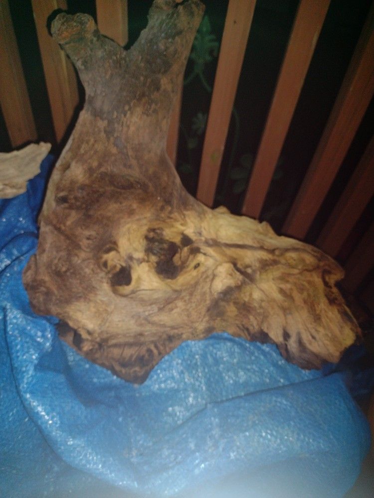 Aquarium Driftwood Moponi Wood