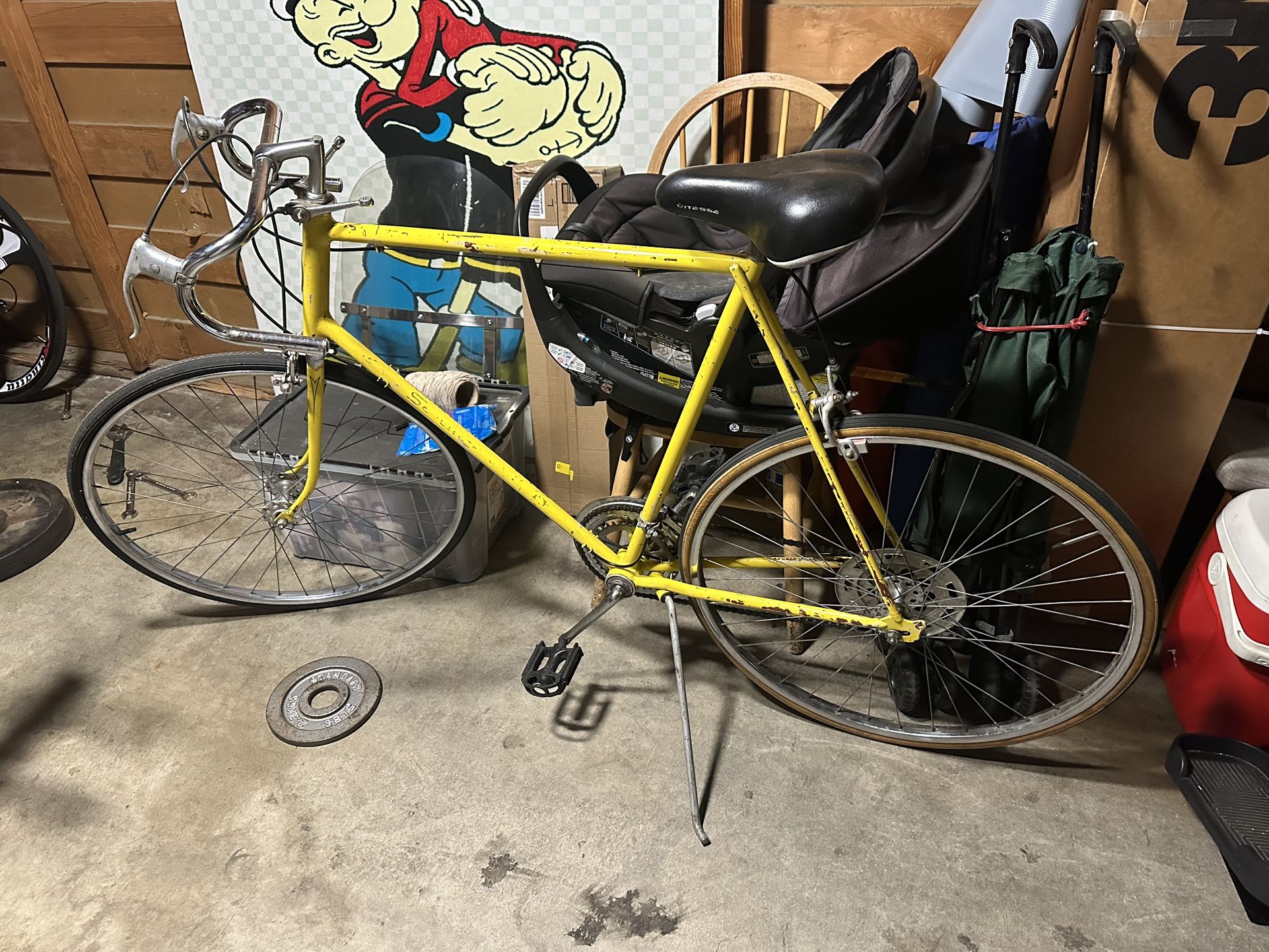 Schwinn Bike