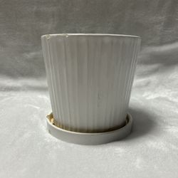 C Small 5 inch ceramic white planter pot with drainage saucer 