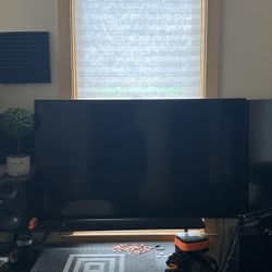 55 Inch Vizio Tv