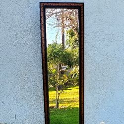 Large Frame Mirror 52"× 16" no damage on the frame or The mirror
