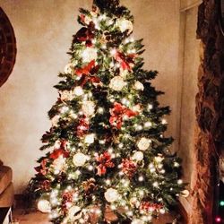 Christmas Tree - Xmas