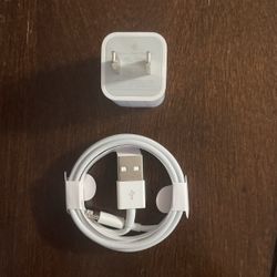 OEM Lightning Cable Wall Charger Apple iPhone 