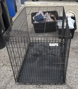 Big Dog Cage