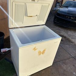 Frizer Y Mesa De Vapor Doble 