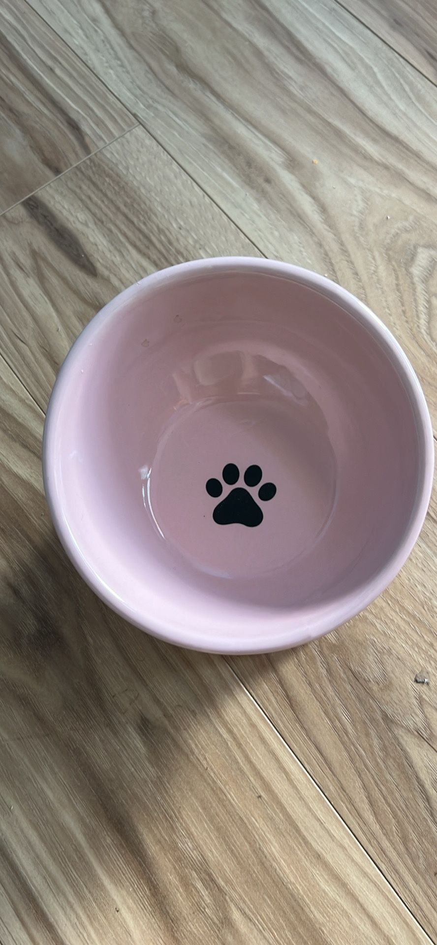 Dog Bowl