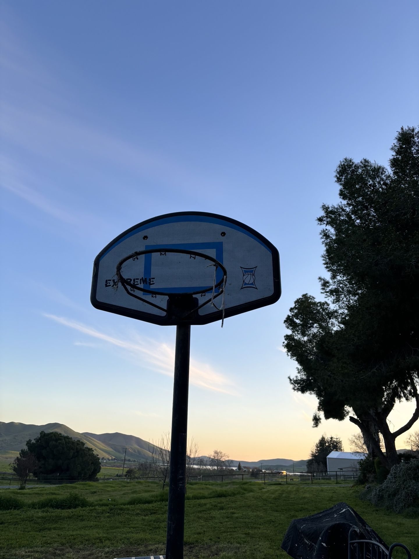 Free Standing Basketball Hoop