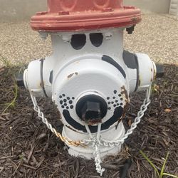 Fire Hydrant