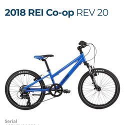 REI Co-Op REV 20 Kids Mountain Bike Laguna Blue