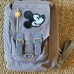Disney Pin Storage