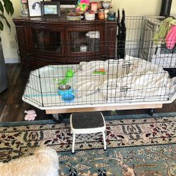 Inside Dog Kennel On Wheels
