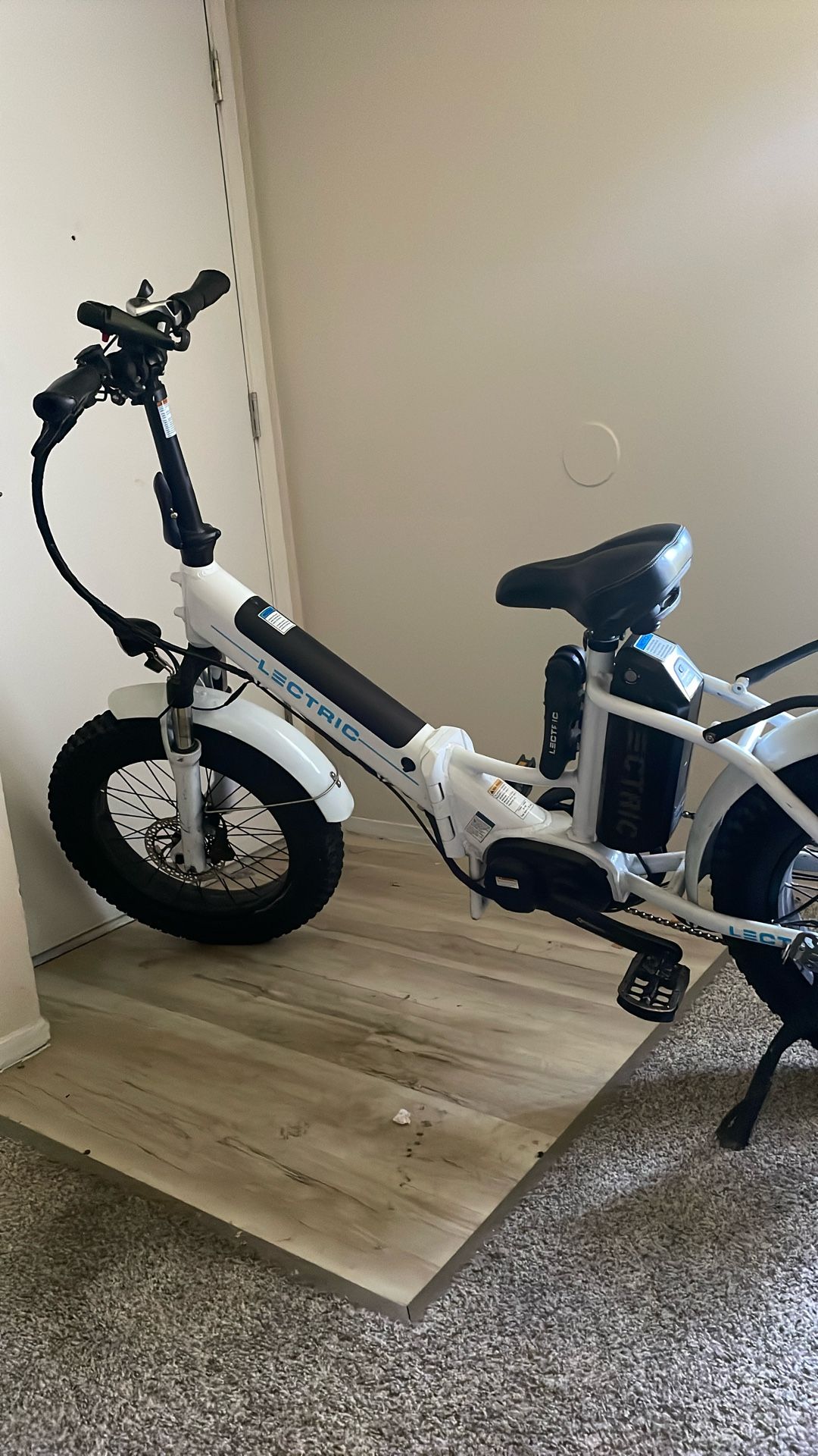 Lectric E-bike