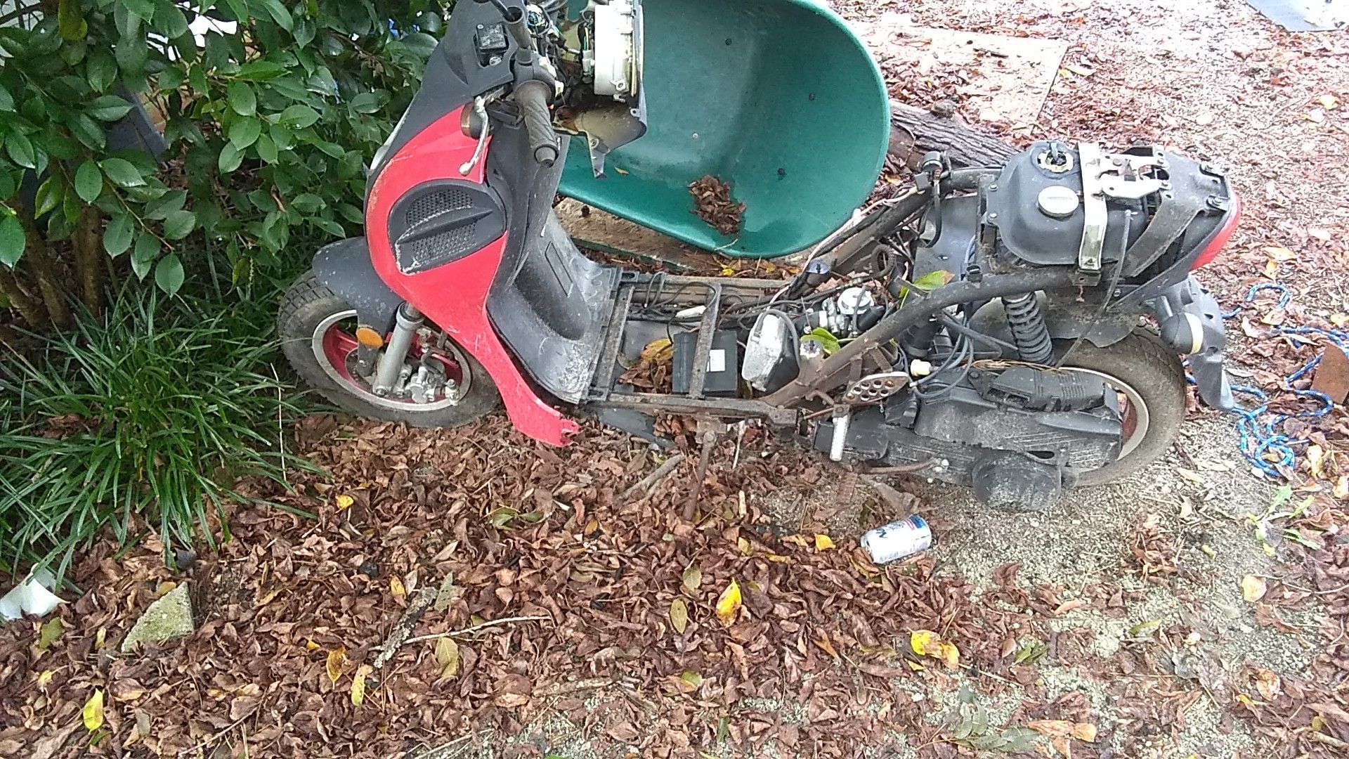 Moped For Sale Near ME ZeCycles