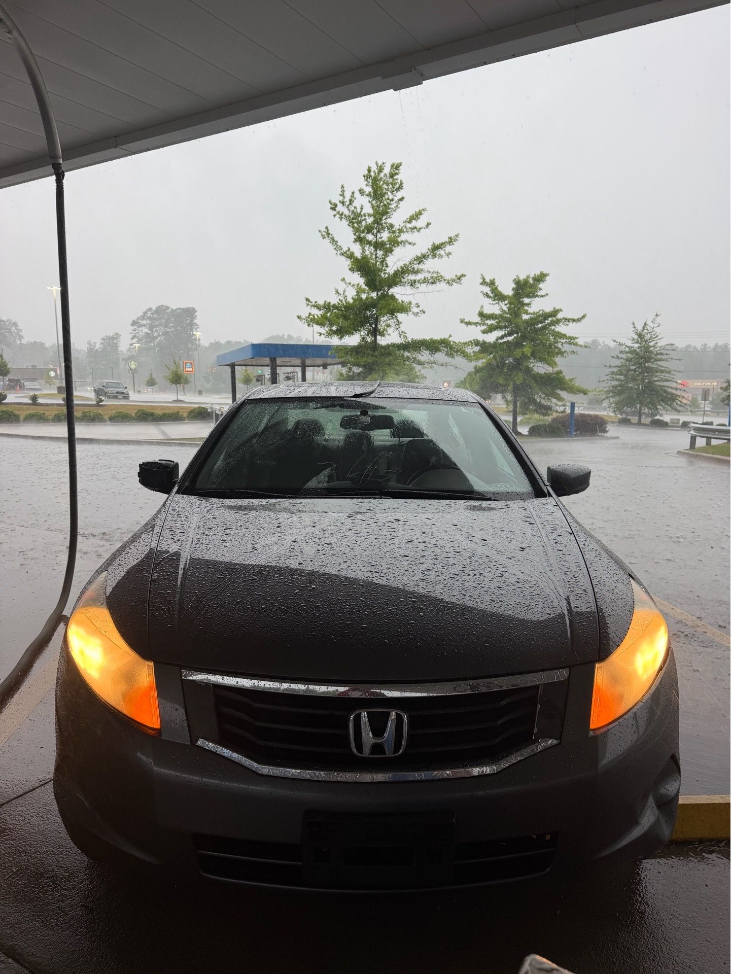 2010 Honda Accord