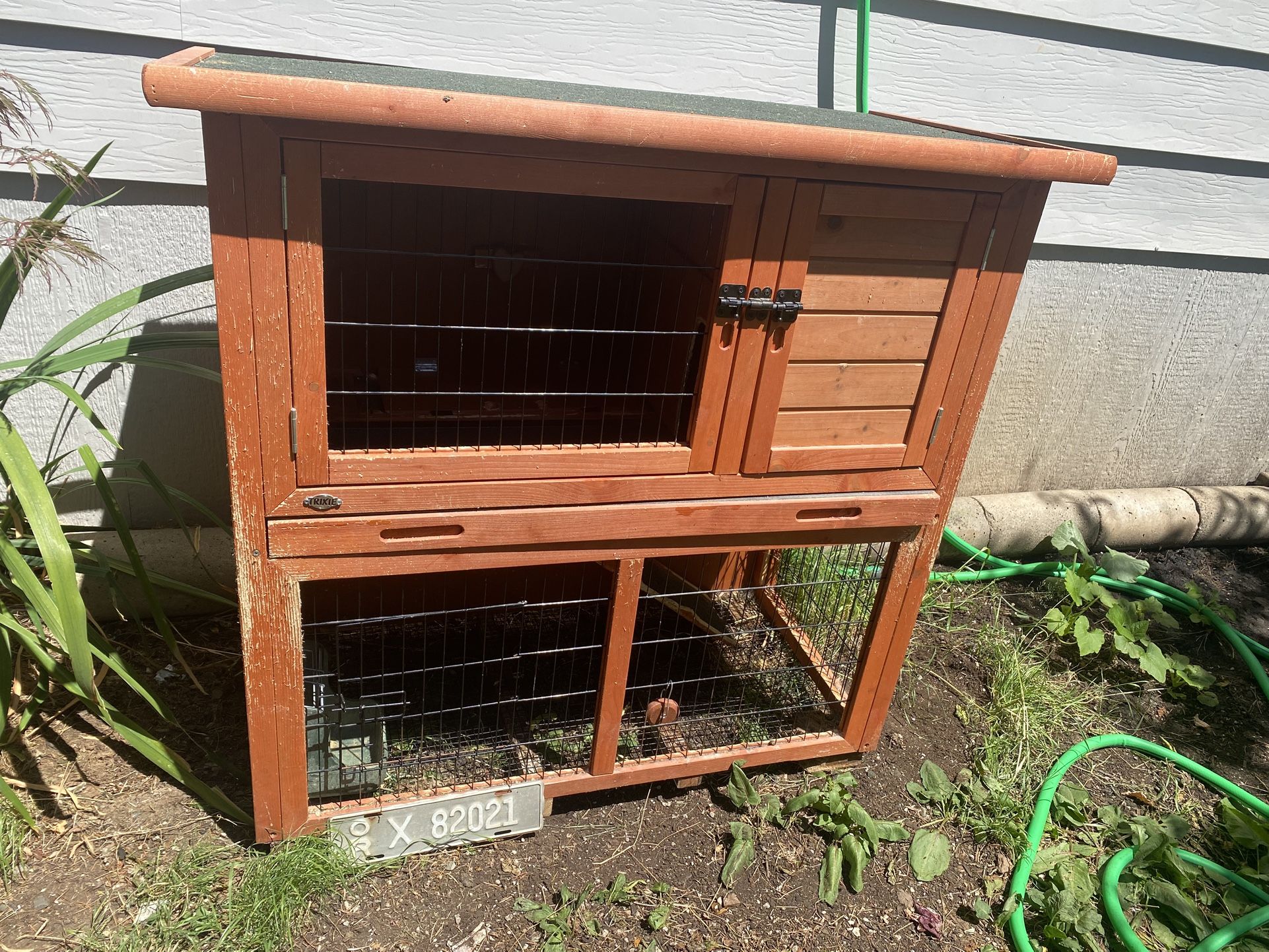 Bunny House